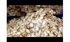 Almonds Sliced Slivers Diced Pasteurization Video