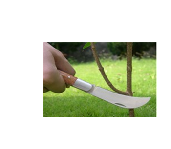 Bio-Graft - Model BK01 - All Purpose Knife