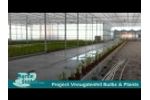 Proud - Project Vreugdenhil Bulbs & Plants Video