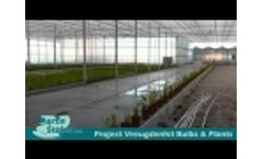 Proud - Project Vreugdenhil Bulbs & Plants Video