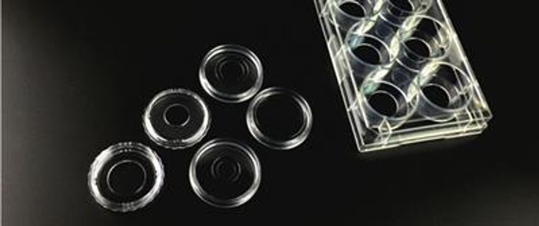 WHB - Model WHB-40, WHB-6-20 - High Quality Whb Sterile Glass Bottom Cell Culture Dish / Plate