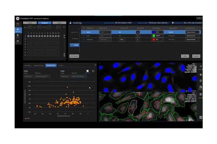 IN Carta - Cell Image Analysis Software