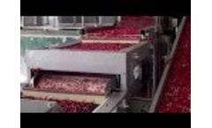 Cranberries 2013 - Video