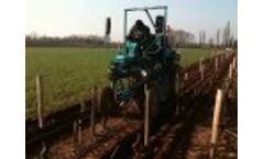 Vineyard Plough Shares Video