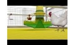 Cage Systems for broilers growin. Feeding system KoChibo Video