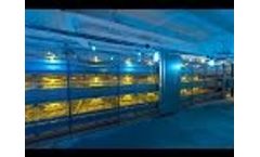 Broiler Cage `Robot`; Broiler Cage System; Broiler Colony System; Broiler Poultry Equipment Video