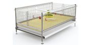Automated Bird Harvesting Cage Systems for Broilers Growing