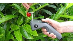 Umweltanalytische-Produkte - Fruit Sensors