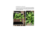 Bio Soil Magic & Seed Up - Mustard Seed Trial Datasheet