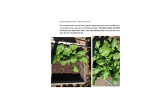Bio Soil Magic & Seed Up - Mustard Seed Trial Datasheet