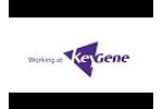 Working at KeyGene - Video