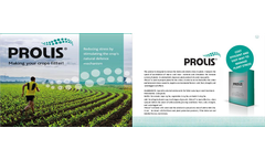 Prolis - Amino Acids Brochure