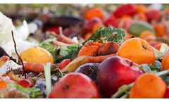 EREF announces food waste and packaging sustainability study