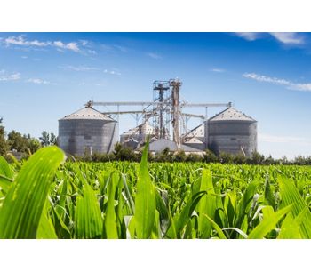 Chemical solution for fuel ethanol sector - Energy - Bioenergy