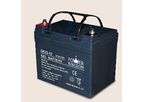 Power Kingdom - Model PG60 - PVC Gel Battery