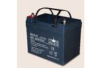 Power Kingdom - Model PG60 - PVC Gel Battery