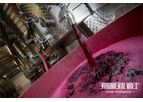 Wine Wastewater Treatment System