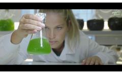 PhytoBloom - Microalgae by Necton - Video