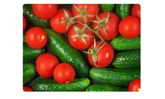 Liquid Organic Fertilizer for Vegetables (Tomatoes, Cucumbers, Melons, Squash, Pumpkin)