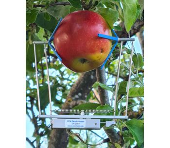 Ecomatik - DF series - Fruit and Vegetable Dendrometer