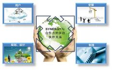 Synergy - Professional Services