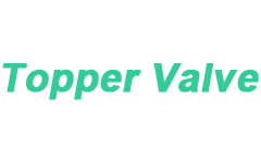 Topper - Forged Steel Swing Check Valves