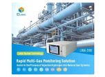 Innovative Solution for Rapid Multi-Gas Monitoring for Hydrogen Blended in Natural Gas
