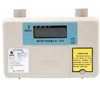 Cubic-Ruiyi - Model BF-2000 - Residential Gas Meter