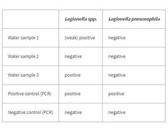 Figure 3 / Table 3: Differential detection of Legionella in water samples obtained from cooling towers. Legionella spp. (left) are detected in the Cy5 channel and Legionella pneumophila (right) in the FAM channel.