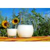 Web Seminar Analyis of Dairy Products
