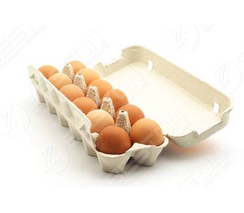 Would It Be Worthwhile to Buy a Manual Egg Carton Making Machine?