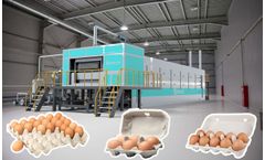 A Review Of What An Egg Tray Manufacturing Business Strategy Is