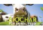 Biochar Animal Feed in Europe: Paving the Way for Sustainable Livestock Agriculture