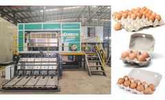 Egg Tray Production: From Manufacturing to Innovation