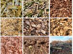 Various Raw Materials for Wood Charcoal Making Machine