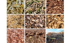 Various Raw Materials for Wood Charcoal Making Machine