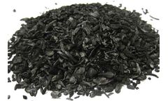 Biochar and Carbon Credit: Pioneering Sustainable Agriculture for a Greener Tomorrow