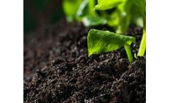 The Changes Biochar Brings to Soil Remediation