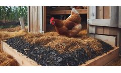 Sustainable Breeding: Biomass Litter & Manure co-pyrolysis