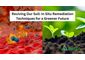 In Situ Soil Remediation: An Essential Tool For Environmental Restoration