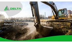 Comprehensive Guide To Bioremediation: Eco-Friendly Cleanup