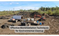 Effective Bioremediation Techniques For Environmental Cleanup