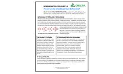 Delta Remediation Crib Sheet Petroleum Metabolism - Datasheet