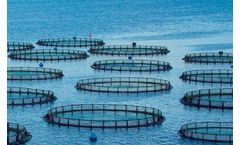 Water quality monitoring for aquaculture