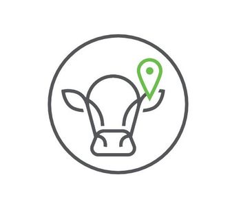 Smartbow - Truly Real-Time Cow Localization Software