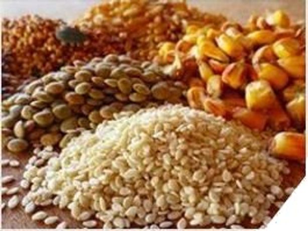 Dry bulk material processing for the feed & grain industry - Agriculture
