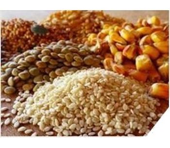 Dry bulk material processing for the feed & grain industry - Agriculture