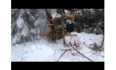 Risutec - L3A - Energy Wood Cutting Head - Video