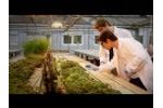 Plantix - a Plant Disease Diagnosis App for Gardener & Smallholder Farmer Video