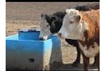 Miraco Livestock Waterers Installation - Video